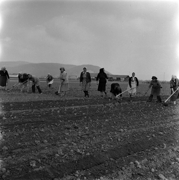 minerva_1987_c2_c9r5_009