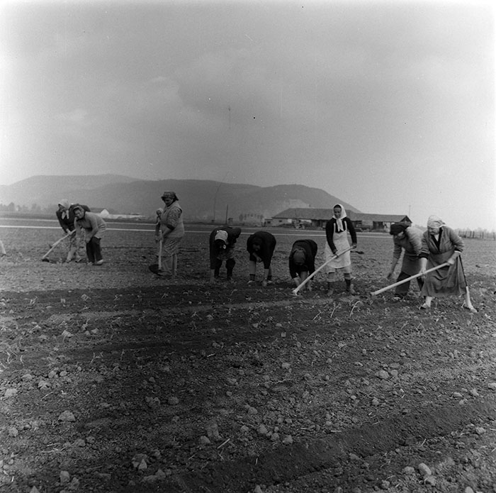 minerva_1987_c2_c9r5_010