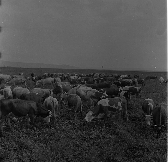 minerva_1987_c2_c9r5_021