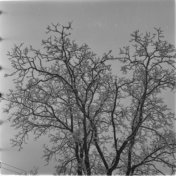 minerva_1987_c4_c1r3_005