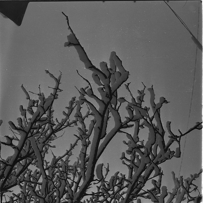 minerva_1987_c4_c1r3_006