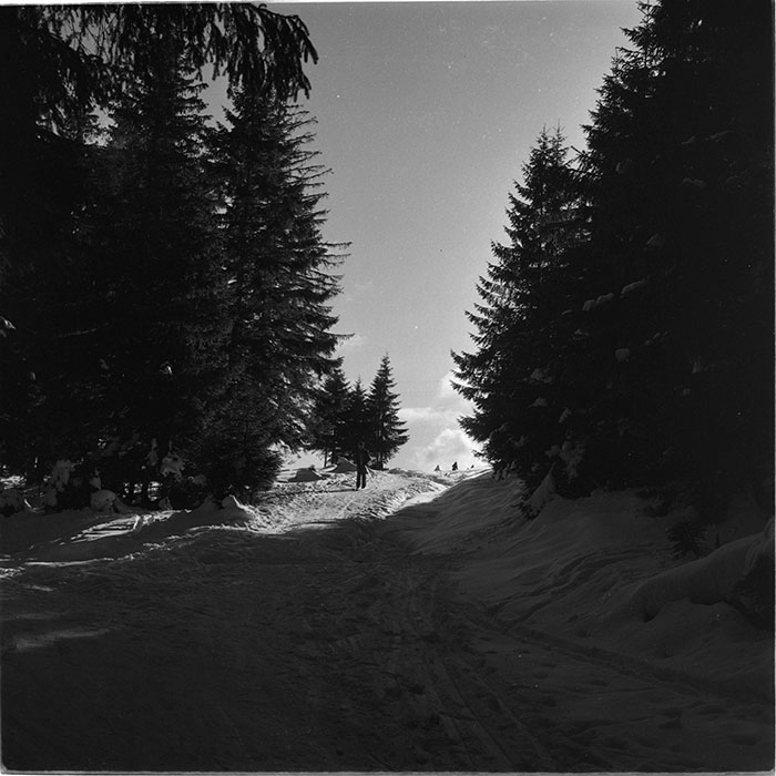 minerva_1987_c4_c1r3_014