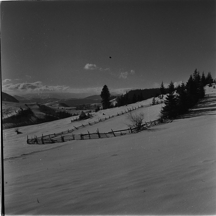 minerva_1987_c4_c1r3_023