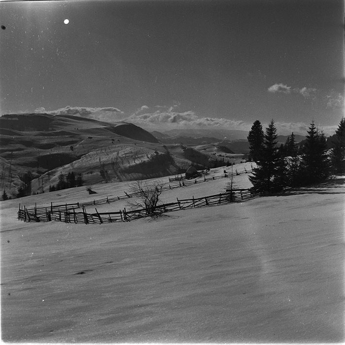 minerva_1987_c4_c1r3_024