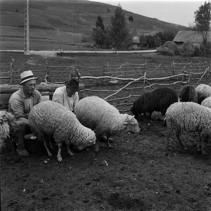 minerva_1987_c4_c2r3_001