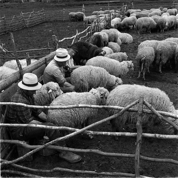 minerva_1987_c4_c2r3_002