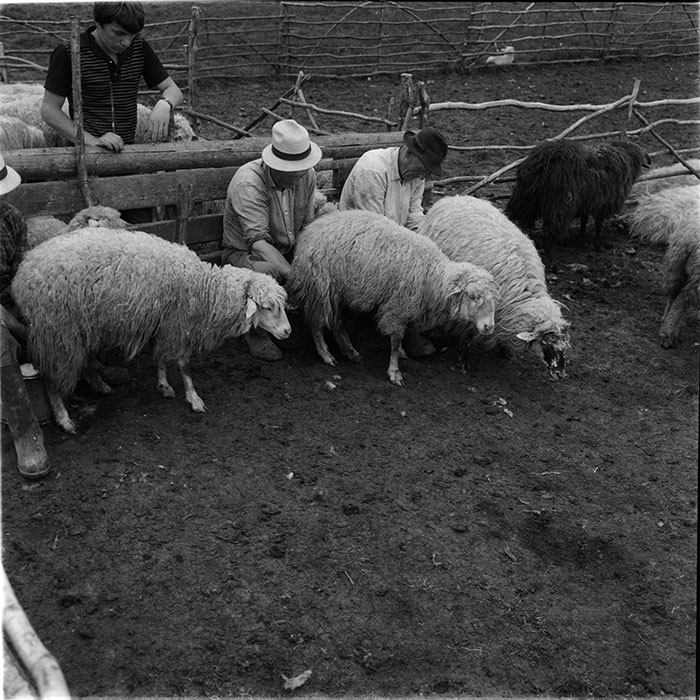 minerva_1987_c4_c2r3_003