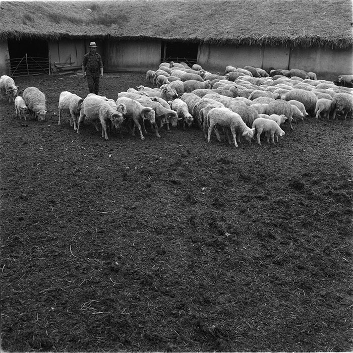 minerva_1987_c4_c2r3_005