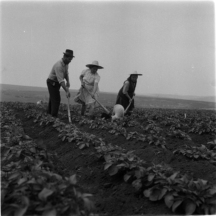 minerva_1987_c4_c2r3_010