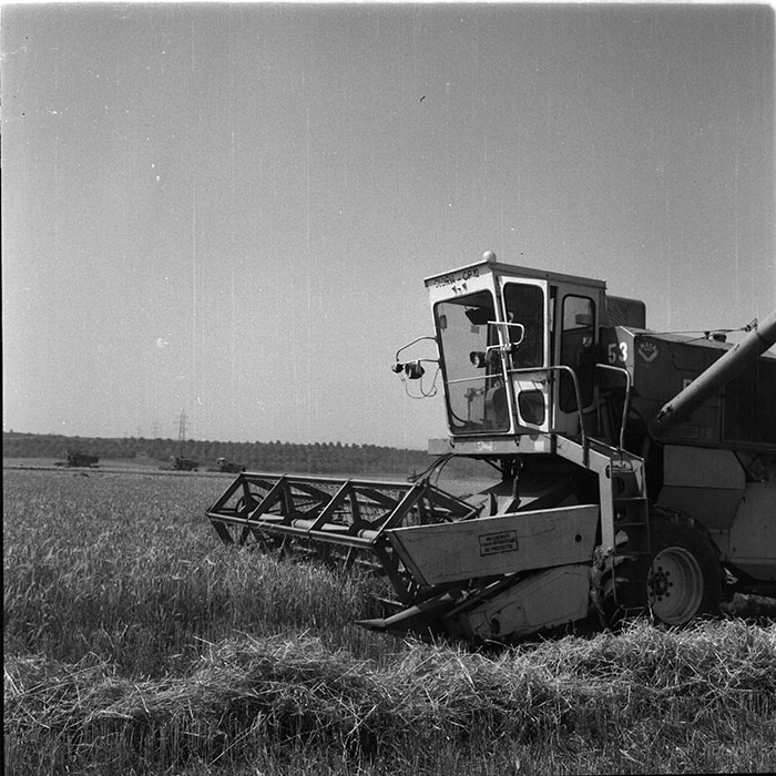 minerva_1987_c4_c2r3_012