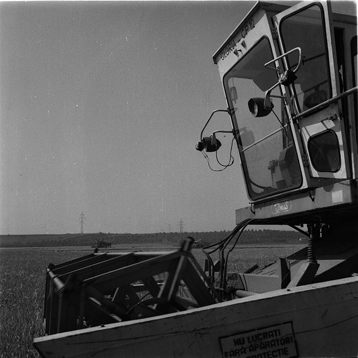 minerva_1987_c4_c2r3_013