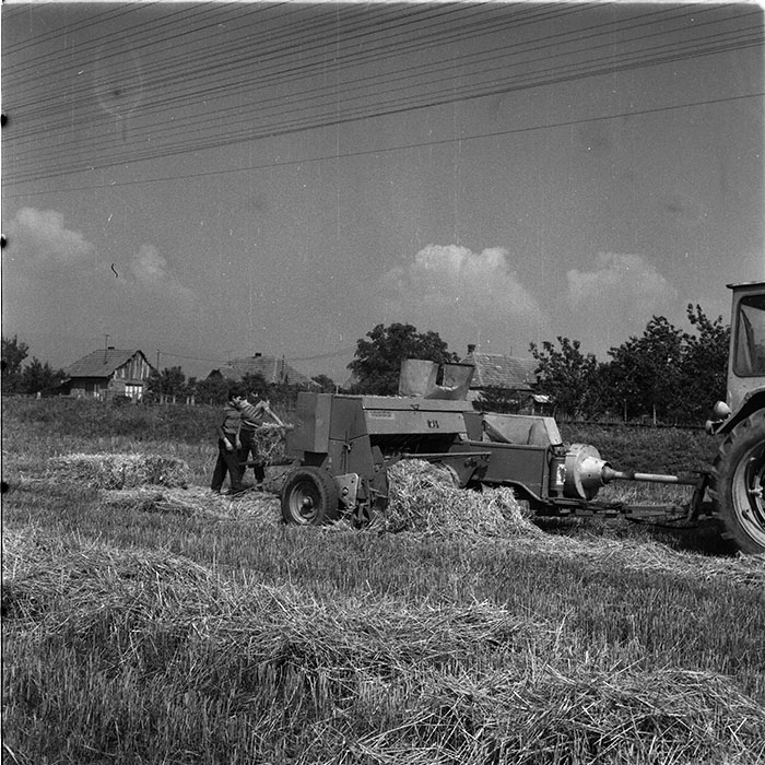 minerva_1987_c4_c2r3_014