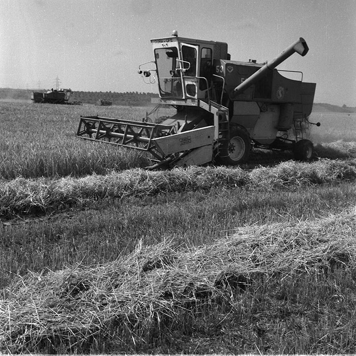 minerva_1987_c4_c2r3_015