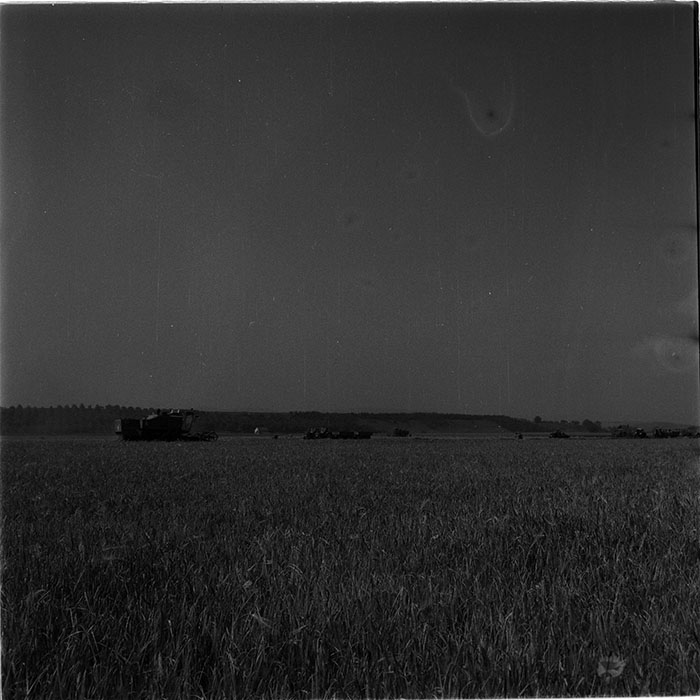 minerva_1987_c4_c2r3_016