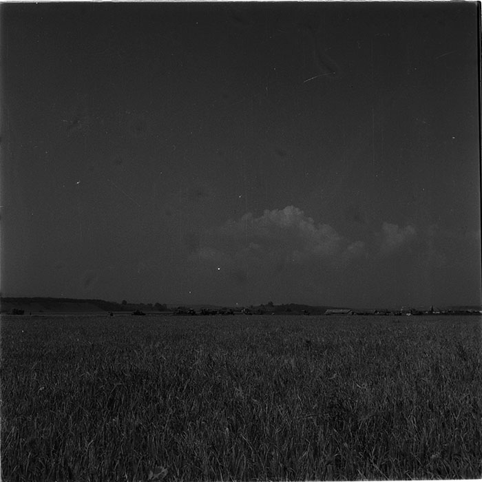 minerva_1987_c4_c2r3_017