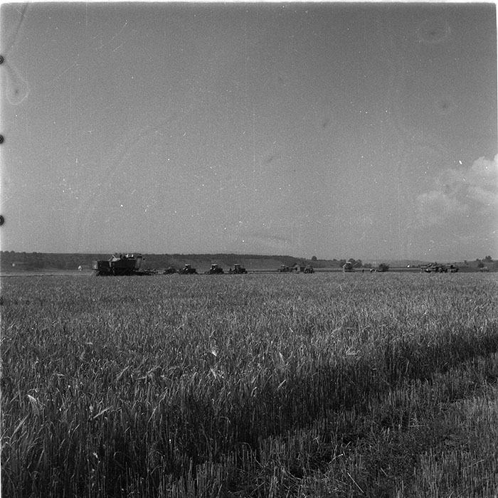 minerva_1987_c4_c2r3_018