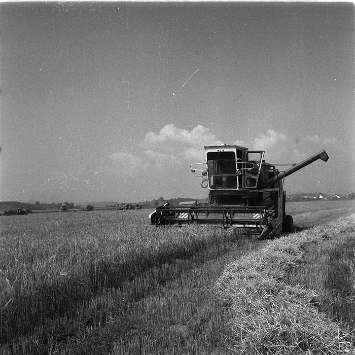 minerva_1987_c4_c2r3_019