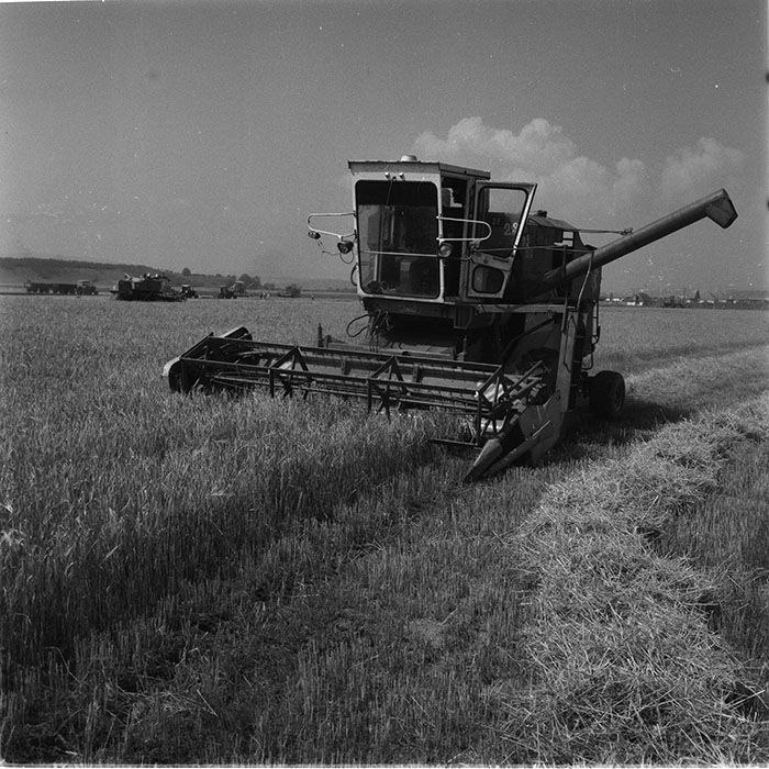 minerva_1987_c4_c2r3_020