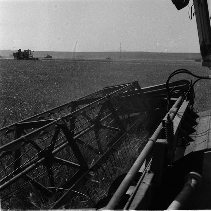 minerva_1987_c4_c2r3_021