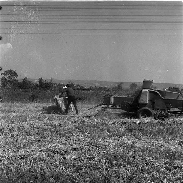 minerva_1987_c4_c2r3_022