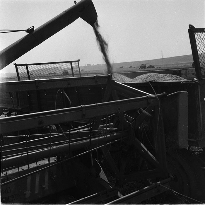 minerva_1987_c4_c2r3_023