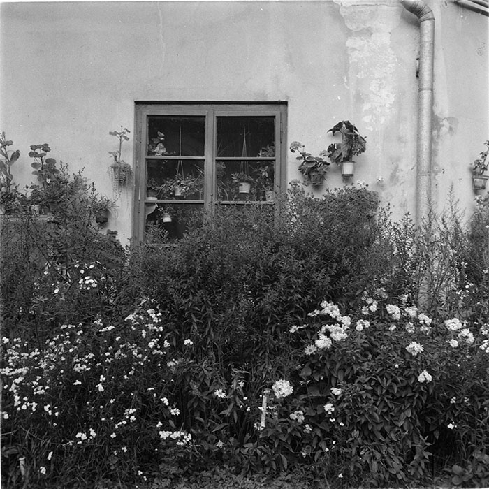 minerva_1987_c4_c2r3_028