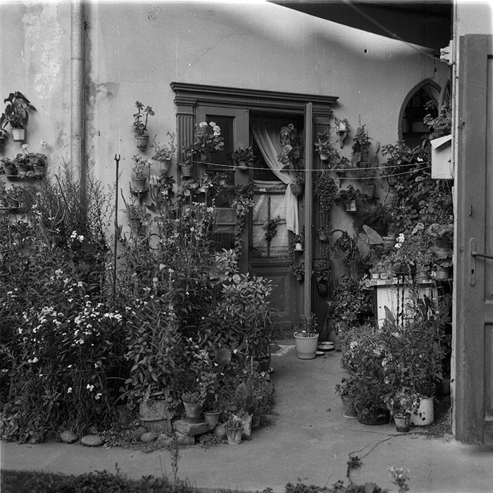 minerva_1987_c4_c2r3_029