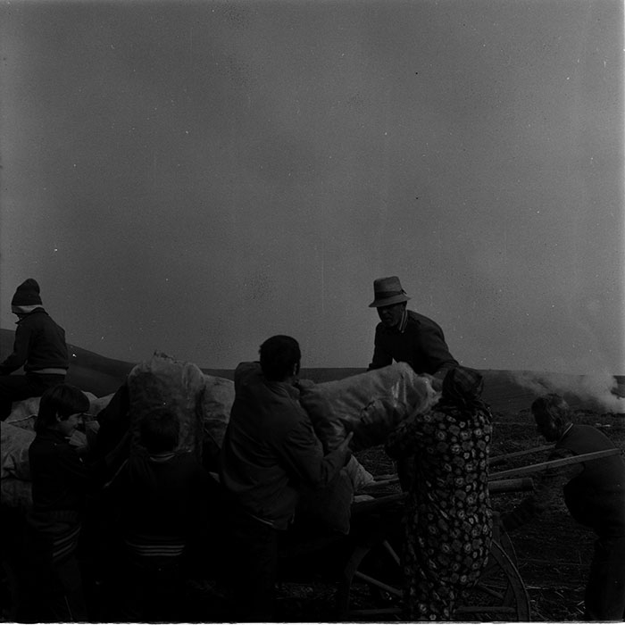 minerva_1987_c4_c2r4_008