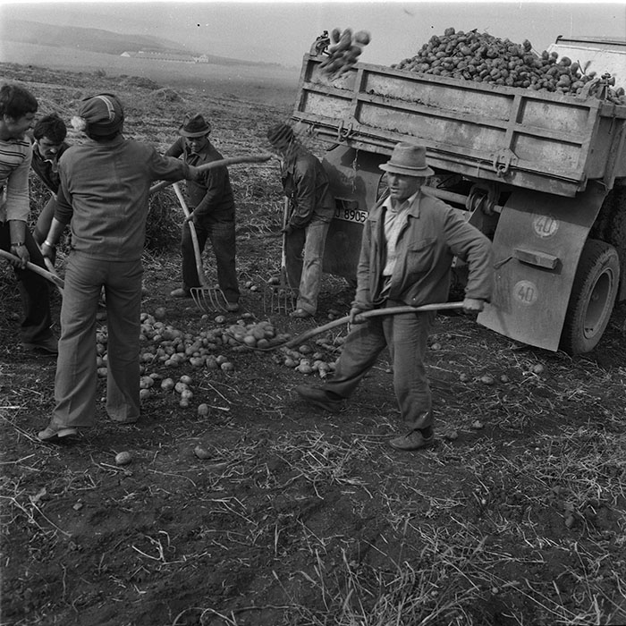 minerva_1987_c4_c2r4_009