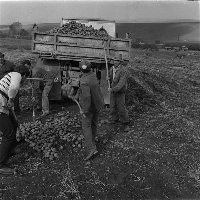 minerva_1987_c4_c2r4_010