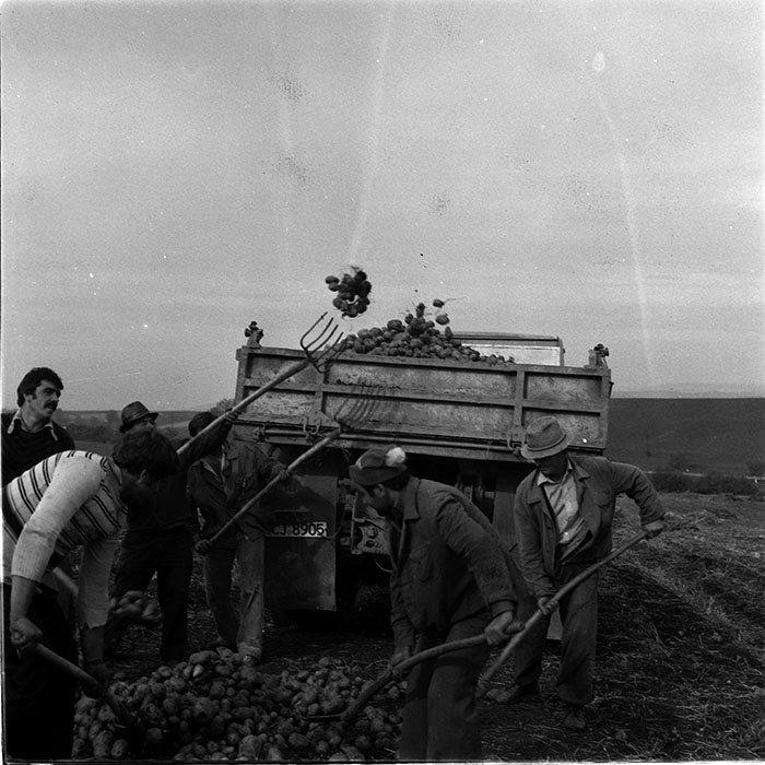 minerva_1987_c4_c2r4_011