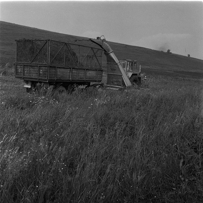 minerva_1987_c4_c2r5_003