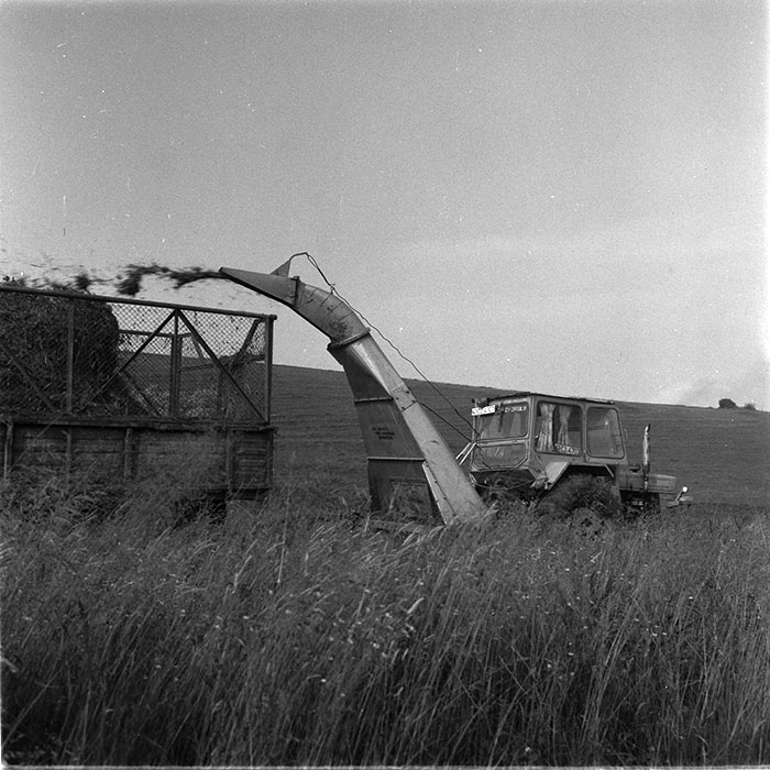 minerva_1987_c4_c2r5_004