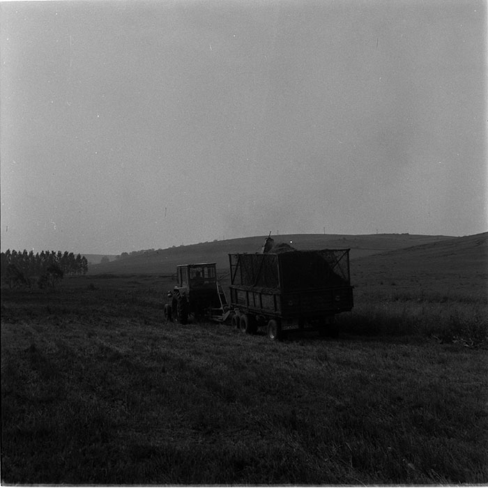 minerva_1987_c4_c2r5_006