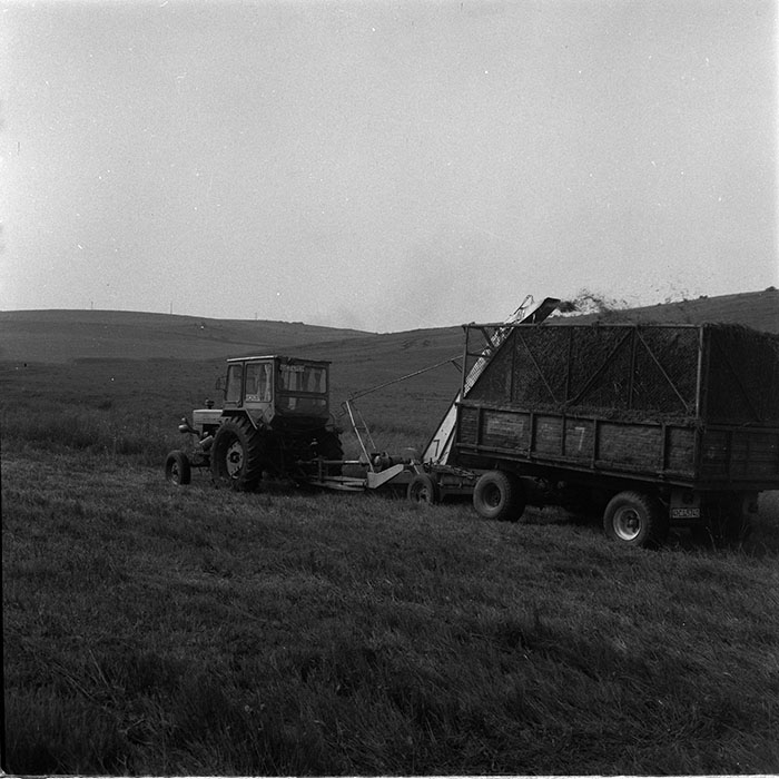 minerva_1987_c4_c2r5_007