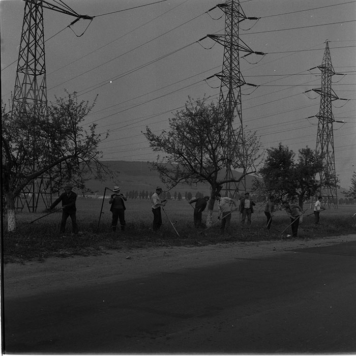 minerva_1987_c4_c2r5_008