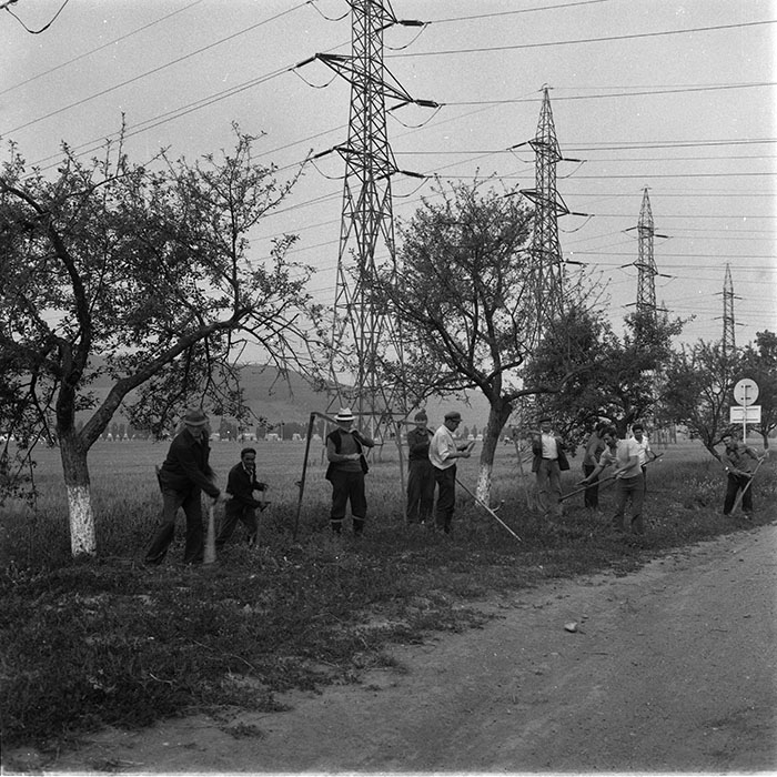 minerva_1987_c4_c2r5_009