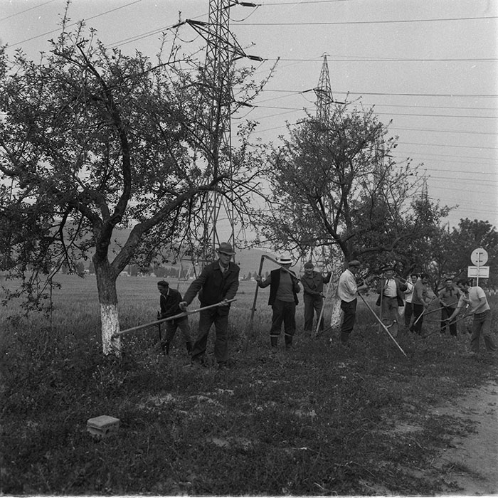 minerva_1987_c4_c2r5_010