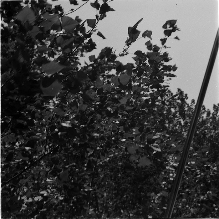 minerva_1987_c4_c6r5_007