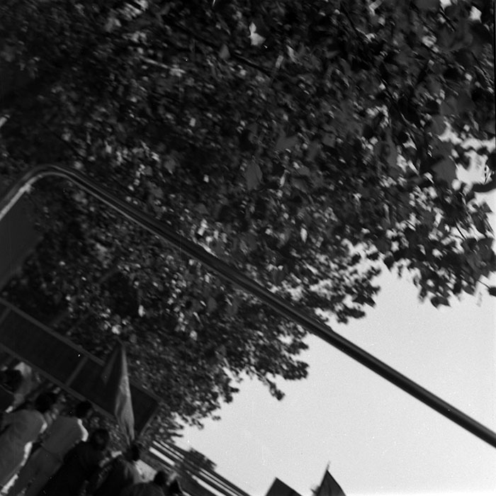 minerva_1987_c4_c6r5_009