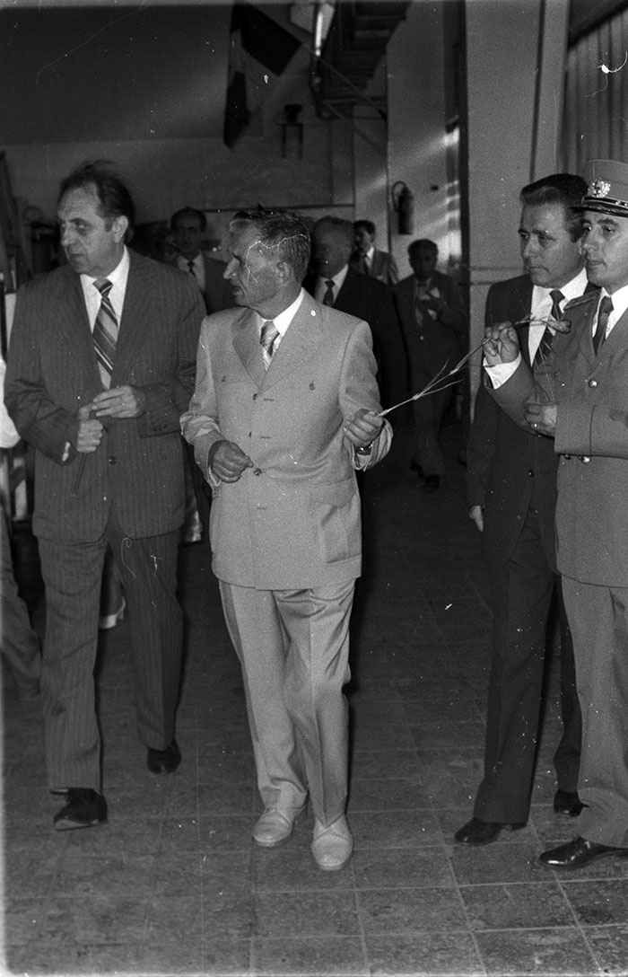 minerva_1987_c4_c7r1_019