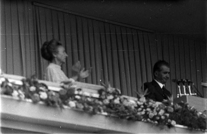 minerva_1987_c4_c8r1_029