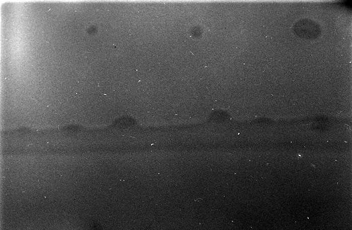 minerva_1987_c4_c8r2_031