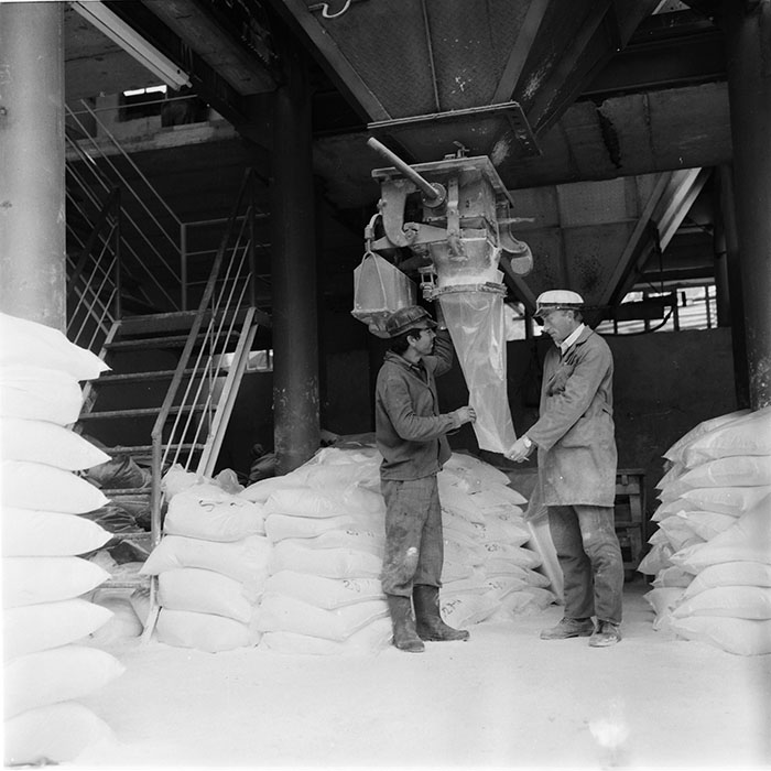 minerva_1987_c4_c8r4_005