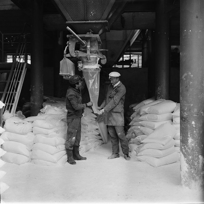 minerva_1987_c4_c8r4_006