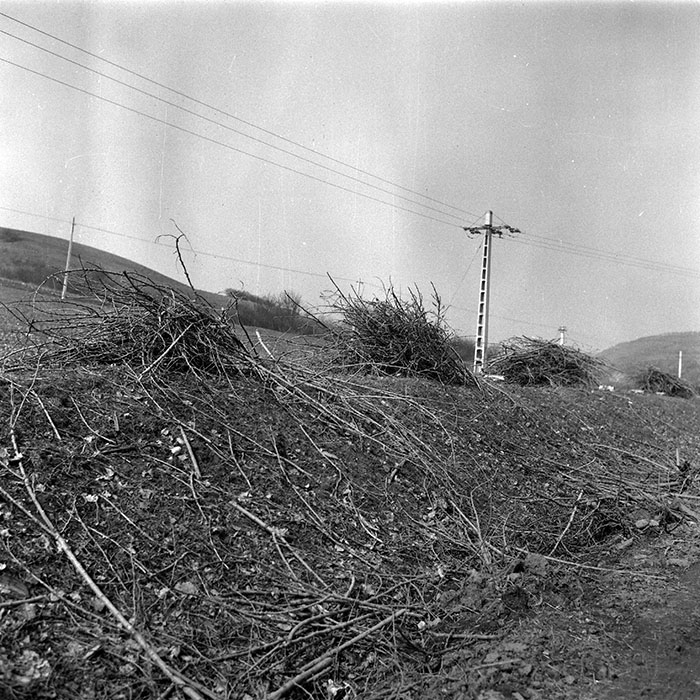 minerva_1988_agrar_c1r1_001