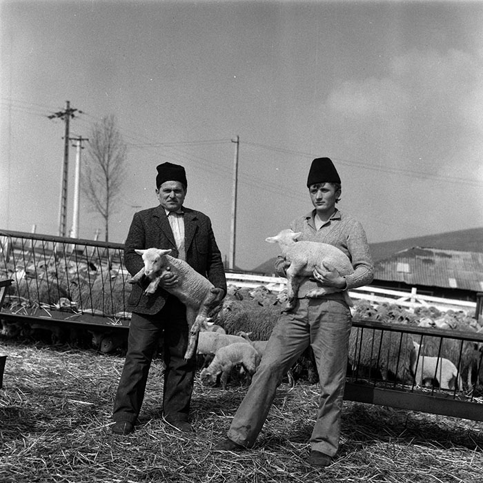 minerva_1988_agrar_c1r1_004