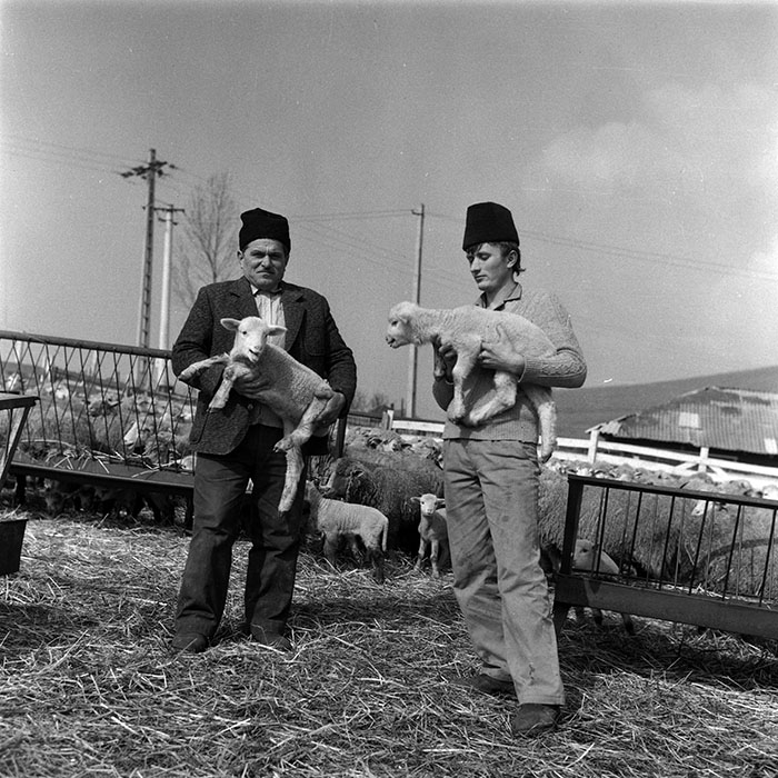 minerva_1988_agrar_c1r1_005