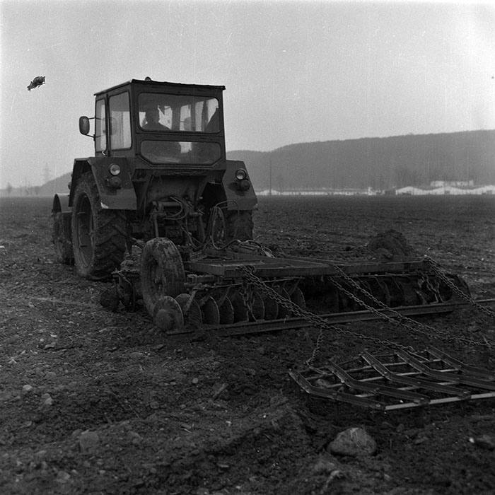 minerva_1988_agrar_c1r1_013