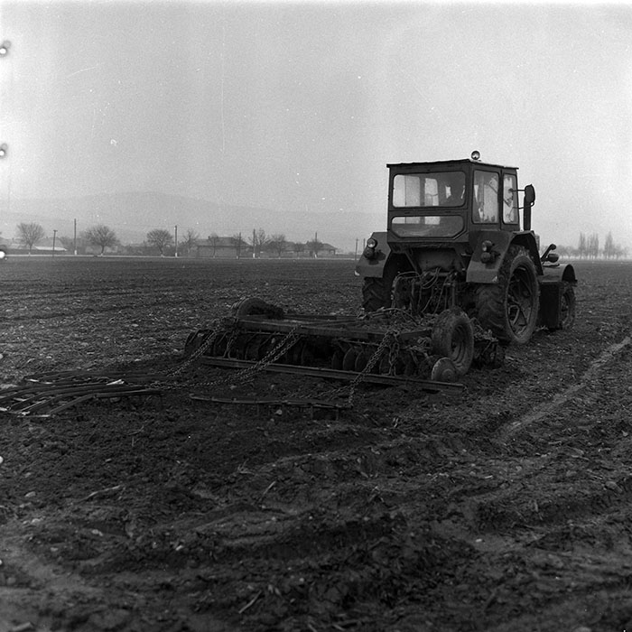 minerva_1988_agrar_c1r1_015